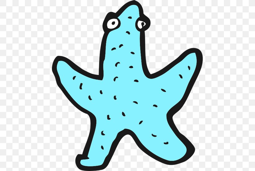 Starfish Illustration Vector Graphics Drawing Clip Art, PNG, 485x550px, Starfish, Animation, Aqua, Cartoon, Drawing Download Free