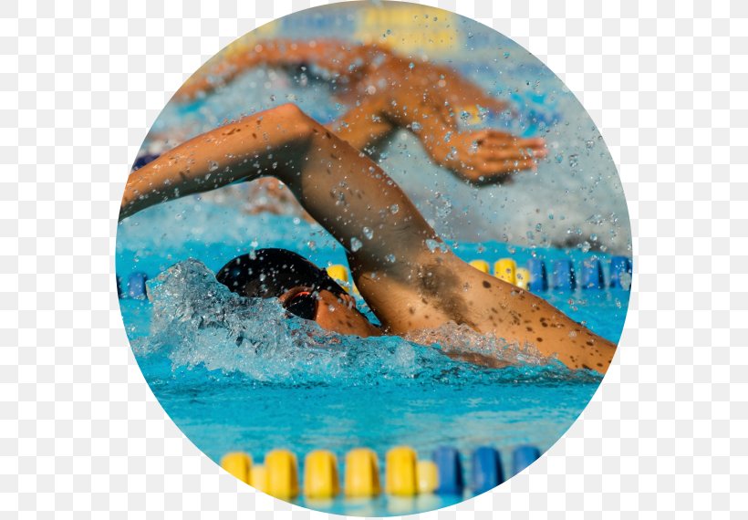 Swimming Pool Competition Racing Triathlon, PNG, 570x570px, Swimming, Competition, Exercise, Freestyle Swimming, Racing Download Free