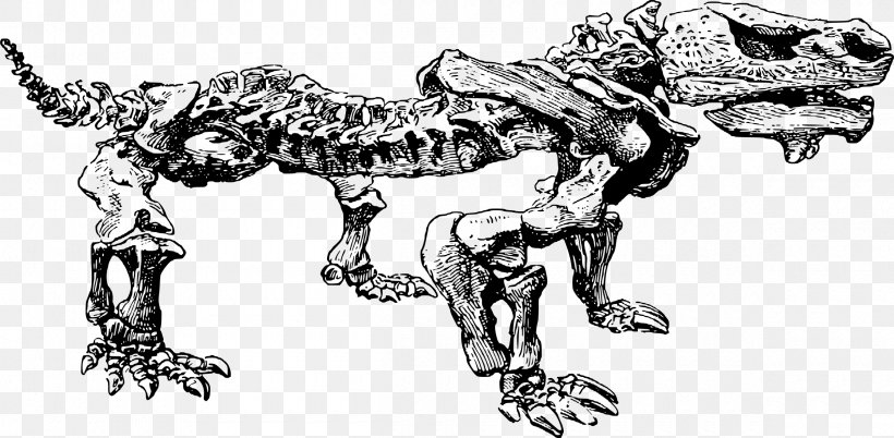 Dinosaur Fossils Dinosaur Fossils Paleontology, PNG, 2400x1177px, Fossil, Animal Figure, Art, Artwork, Black And White Download Free