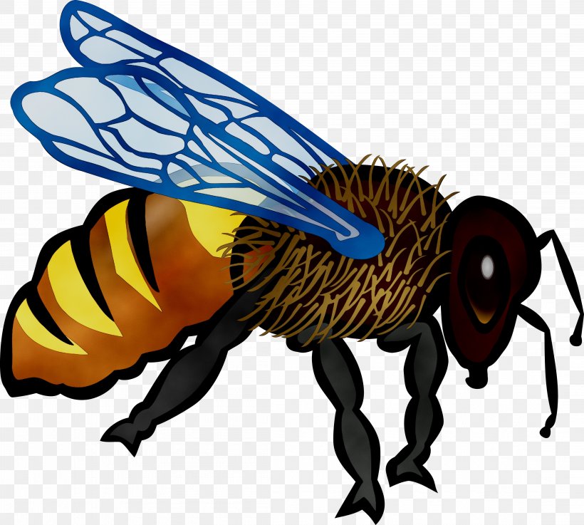 Honey Bee Hornet Clip Art Cartoon, PNG, 4399x3958px, Honey Bee, Animal Figure, Animation, Arthropod, Bee Download Free