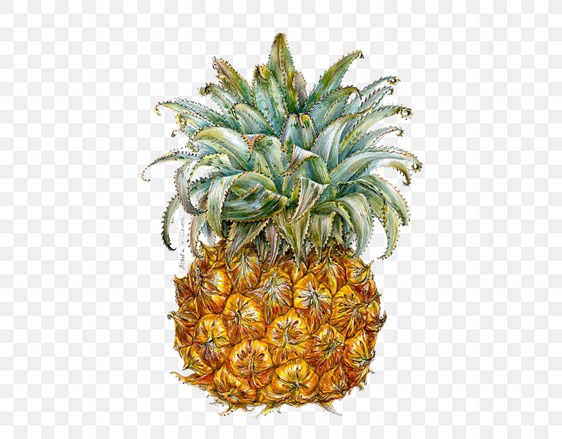 Pineapple Berry Illustrator Illustration, PNG, 481x640px, Pineapple, Ananas, Berry, Bromeliaceae, Cartoon Download Free