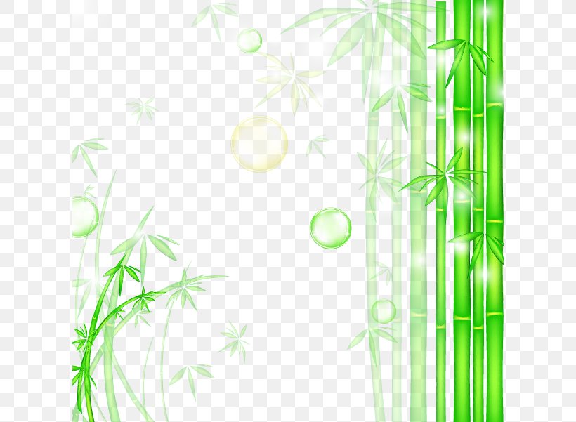 Bamboo Graphic Design Wallpaper, PNG, 614x601px, Bamboo, Area, Flora, Floral Design, Grass Download Free