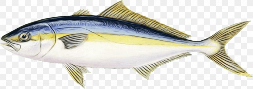 Fish Fish Fin Fish Products Perch, PNG, 1000x353px, Watercolor, Bonyfish, Cod, Fin, Fish Download Free