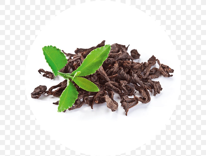 Green Tea White Tea Tea Plant Tea Bag, PNG, 624x624px, Green Tea, Assam Tea, Bai Mudan, Bancha, Ceylon Tea Download Free