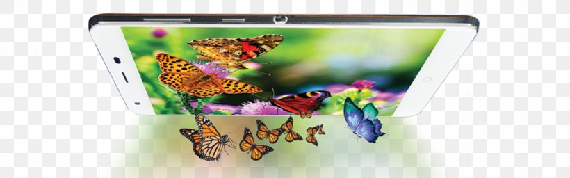 Plastic Gadget, PNG, 960x300px, Plastic, Butterfly, Gadget, Multimedia, Pollinator Download Free
