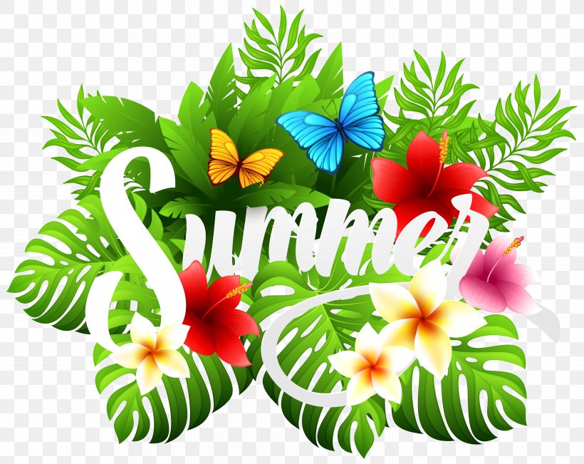 Summer Clip Art, PNG, 6068x4822px, Clip Art For Summer, Annual Plant, Flora, Floral Design, Floristry Download Free
