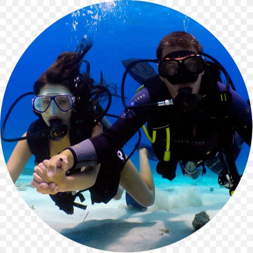 Cabo San Lucas Scuba Diving Underwater Diving Professional Association Of Diving Instructors Diver Certification, PNG, 1000x1000px, Cabo San Lucas, Aquanaut, Dive Center, Divemaster, Diver Certification Download Free