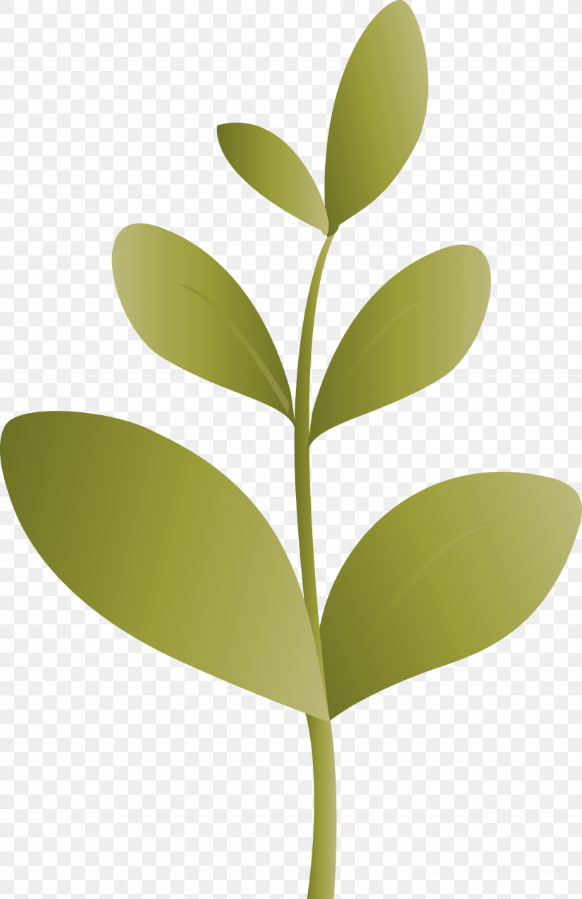 Sprout Bud Seed, PNG, 1941x3000px, Sprout, Bud, Flower, Flush, Hypericum Download Free
