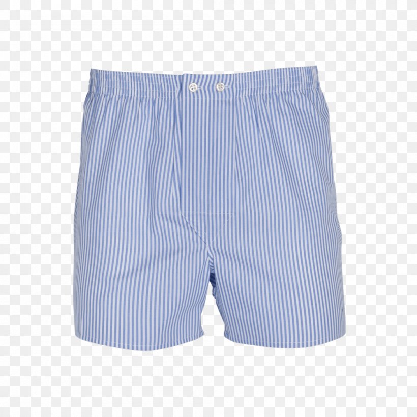 Trunks Swim Briefs Underpants Bermuda Shorts, PNG, 1000x1000px, Trunks, Active Shorts, Bermuda Shorts, Blue, Briefs Download Free
