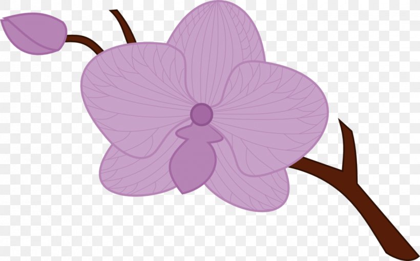 Drawing Orchids Clip Art, PNG, 1134x705px, Drawing, Cut Flowers, Flora, Flower, Flowering Plant Download Free