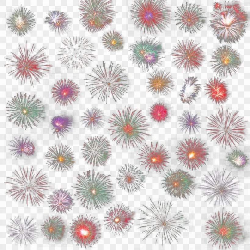 Fireworks Download, PNG, 1000x1000px, Watercolor, Cartoon, Flower, Frame, Heart Download Free