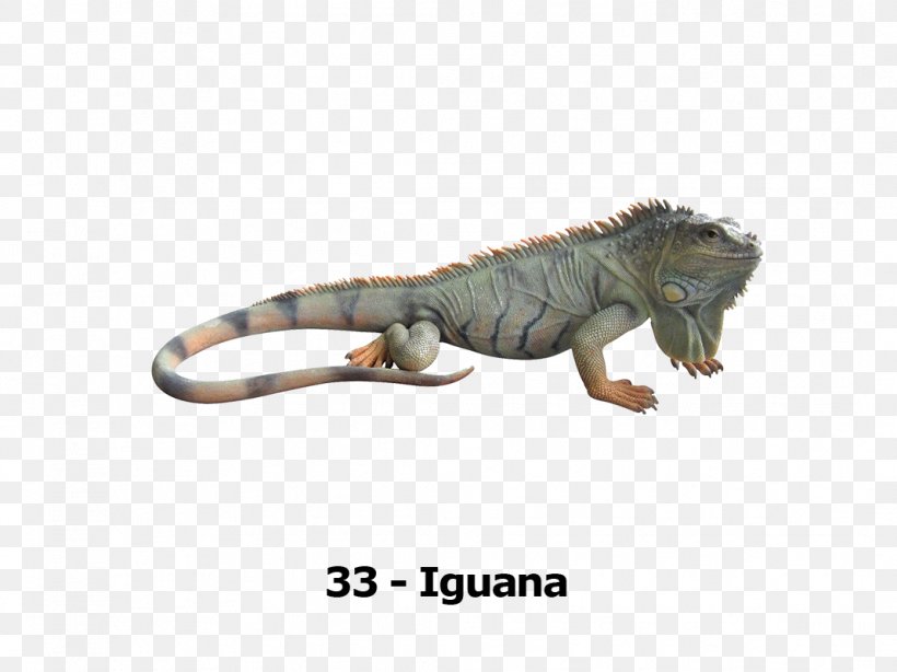 Green Iguana Reptile Lizard Blue Iguana, PNG, 1068x800px, Green Iguana, Animal Figure, Blue Iguana, Common Iguanas, Fauna Download Free