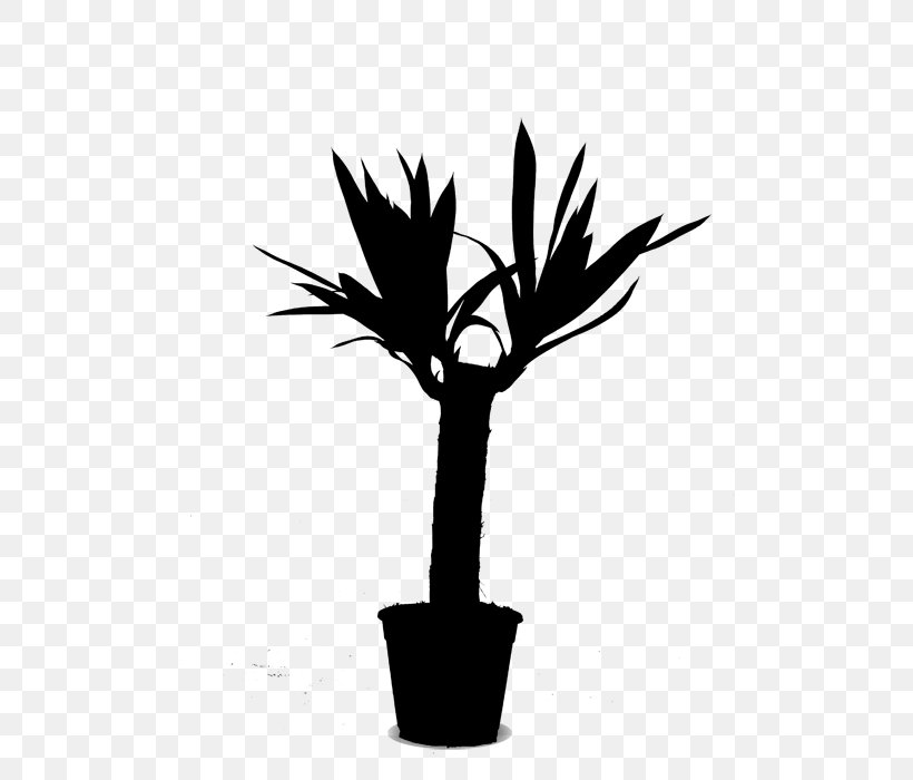 Palm Trees Plant Stem Flower Leaf Silhouette, PNG, 500x700px, Palm Trees, Arecales, Blackandwhite, Botany, Branch Download Free