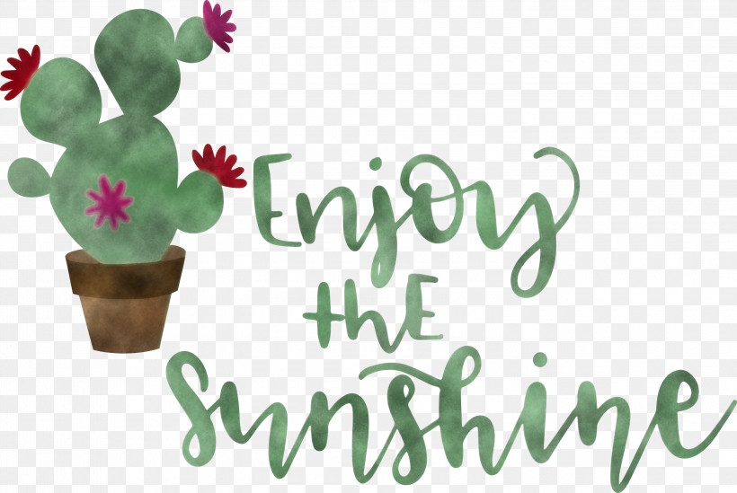 Sunshine Enjoy The Sunshine, PNG, 3000x2010px, Sunshine, Biology, Cactus, Flower, Flowerpot Download Free