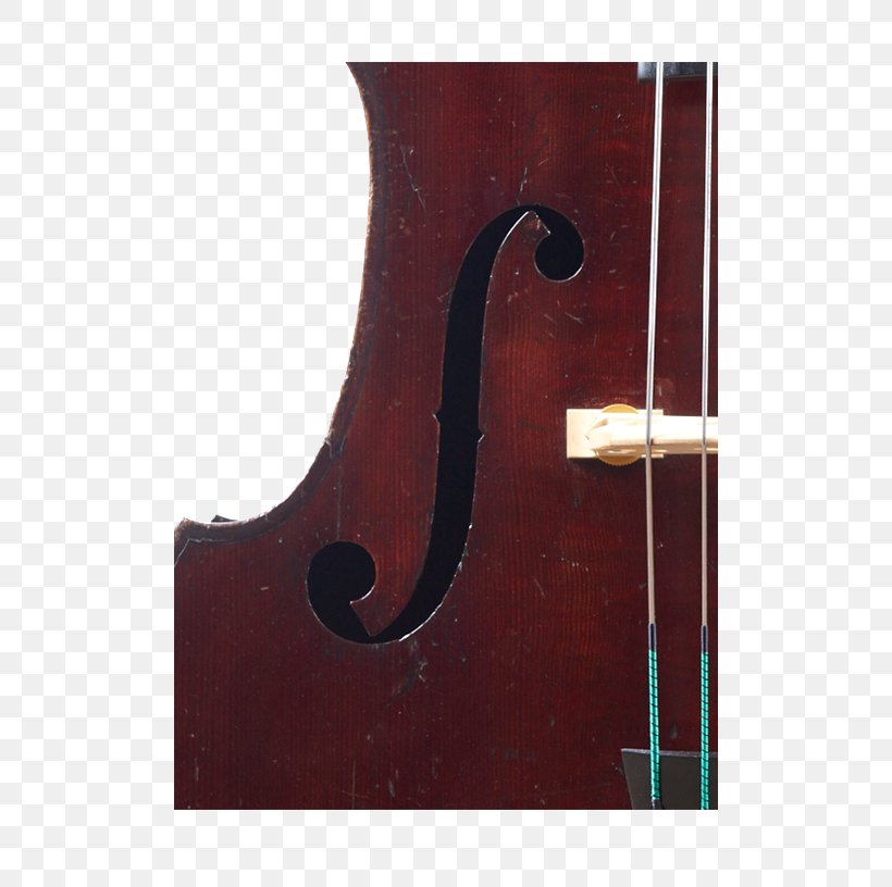 Bass Violin Violone Viola Octobass Cello, PNG, 500x816px, Bass Violin, Bass, Bass Guitar, Bowed String Instrument, Cello Download Free