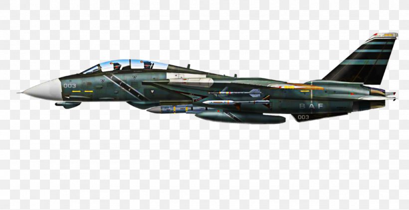 Grumman F-14 Tomcat Airplane Air Combat Military Aircraft, PNG, 1024x526px, Grumman F14 Tomcat, Ace Combat, Air Combat, Air Force, Aircraft Download Free