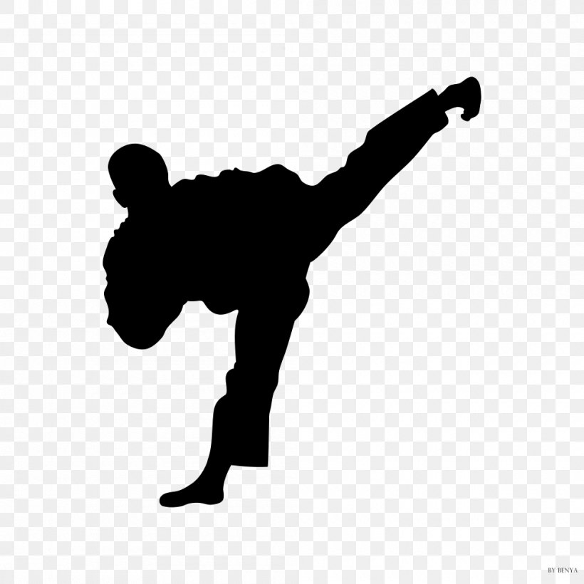 Moo Duk Kwan Taekwondo Moo Duk Kwan Taekwondo Martial Arts Kick, PNG, 1000x1000px, Taekwondo, Arm, Black And White, Black Belt, Finger Download Free