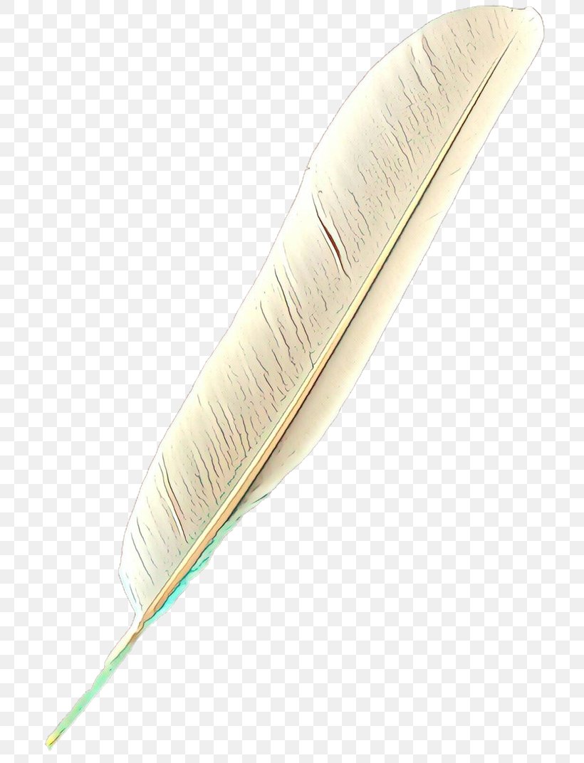 Feather, PNG, 744x1072px, Cartoon, Fashion Accessory, Feather, Natural Material, Pen Download Free