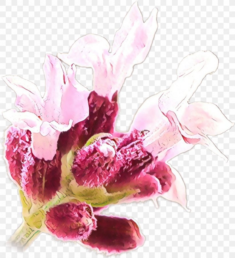 Flower Art Watercolor, PNG, 999x1097px, Floral Design, Cut Flowers, Flower, Flower Bouquet, Iris Download Free