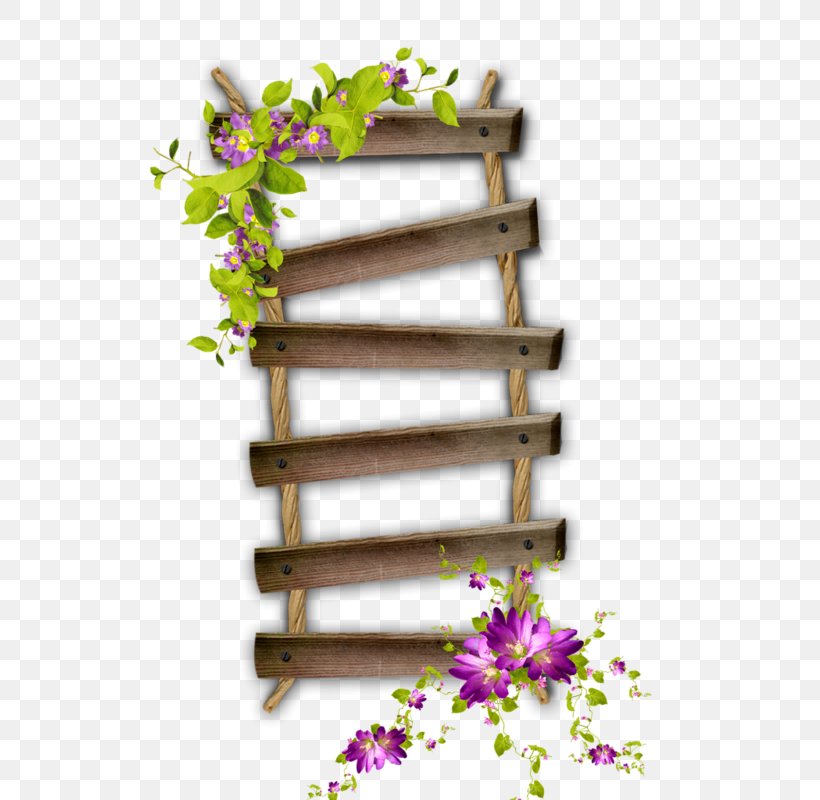 Ladder Clip Art, PNG, 570x800px, Ladder, Branch, Digital Image, Flora, Floral Design Download Free