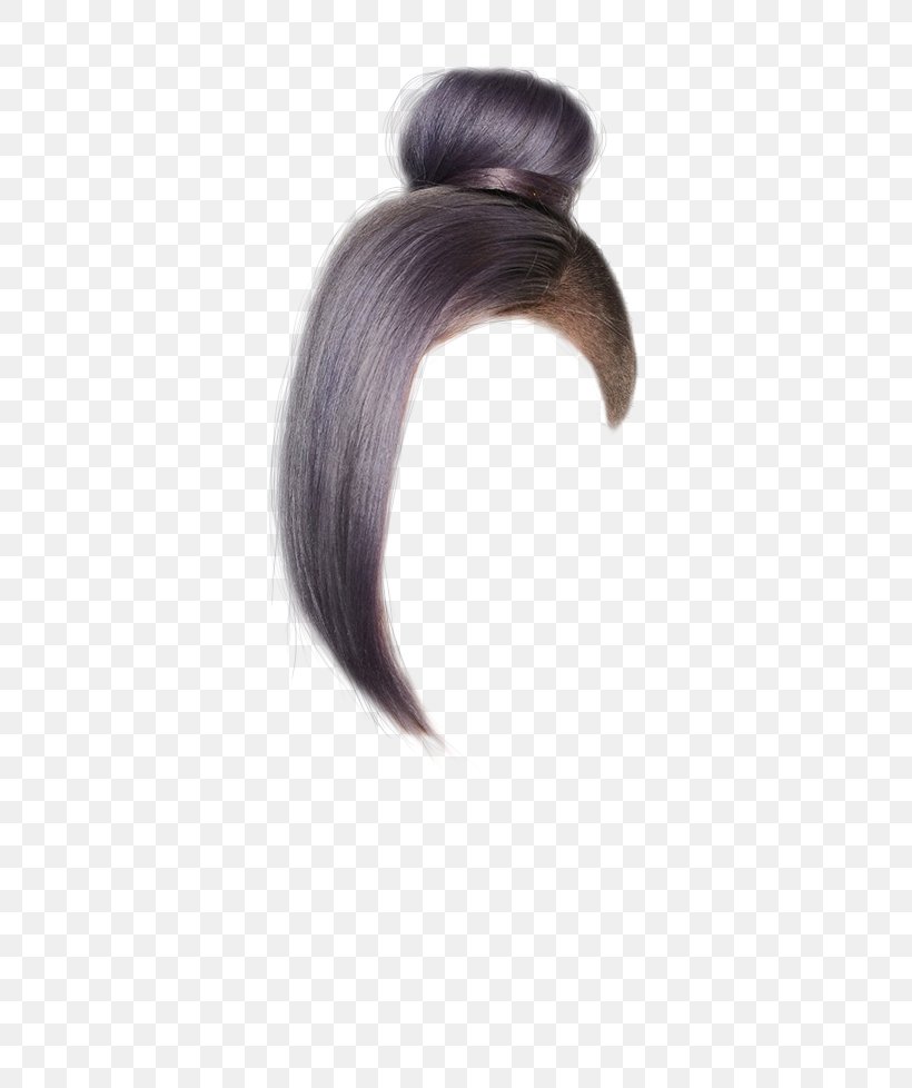 Wig Hair Coloring Hair Tie Homo Sapiens, PNG, 800x978px, Wig, Eyelash, Hair, Hair Coloring, Hair Tie Download Free