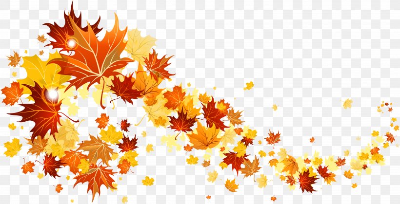 Autumn Leaf Color Clip Art, PNG, 3742x1915px, Autumn Leaf Color, Autumn, Branch, Color, Flora Download Free