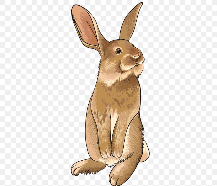 Domestic Rabbit Hare Easter Bunny Image, PNG, 400x703px, Domestic Rabbit, Animal Figure, Brown Hare, Drawing, Dwarf Rabbit Download Free