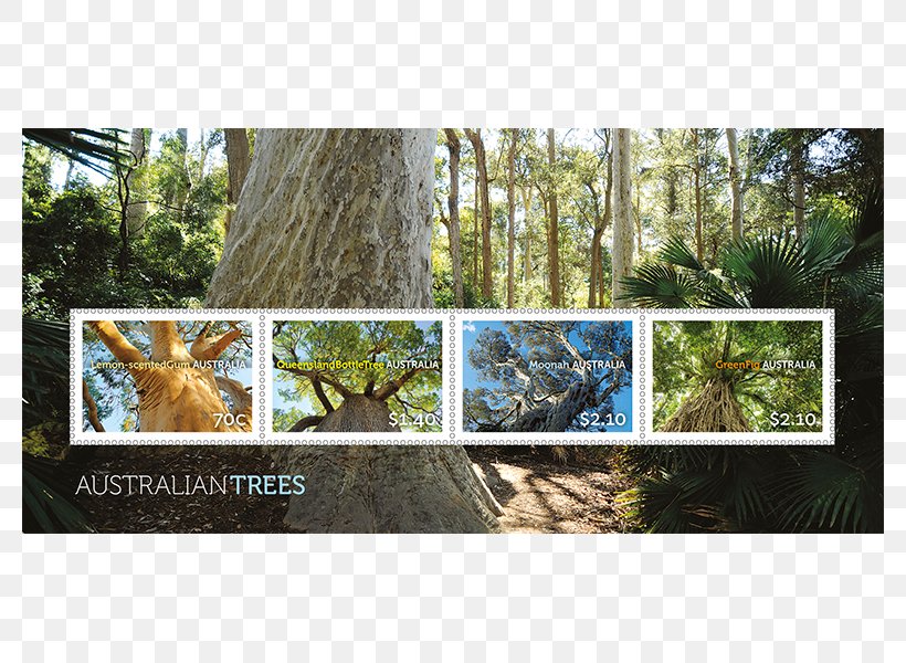 Flora Fauna Biome Nature Reserve Philately, PNG, 800x600px, Flora, Africa, Australia, Biome, Ecosystem Download Free