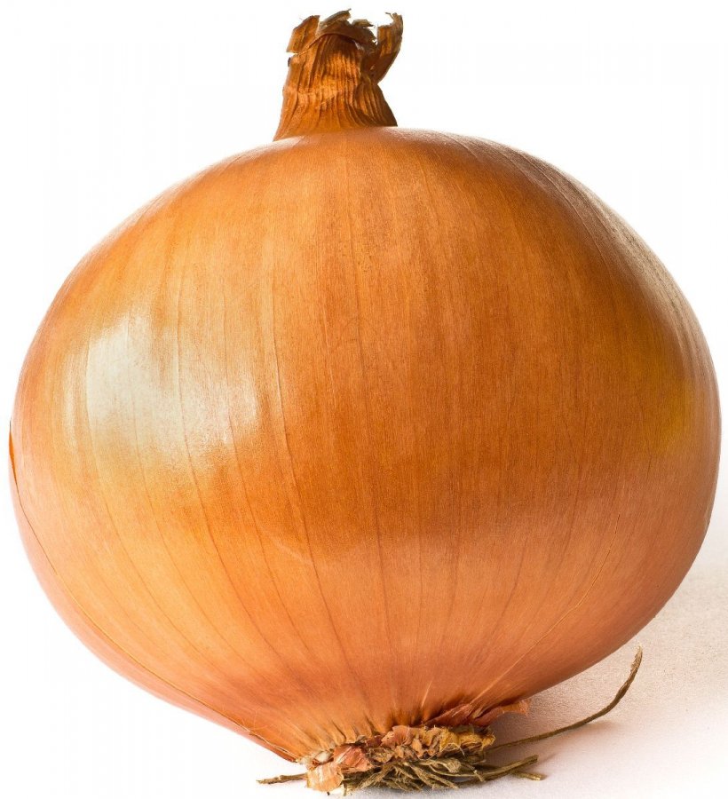 French Onion Soup Yellow Onion Food Garlic, PNG, 1093x1200px, French Onion Soup, Black Garlic, Calabaza, Cooking, Cucurbita Download Free