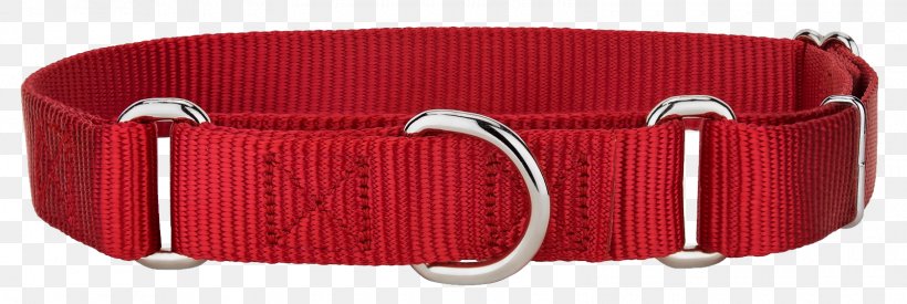 Poodle Dog Collar Martingale Dingo, PNG, 1600x537px, Poodle, Animal Shelter, Belt Buckle, Blue, Buckle Download Free