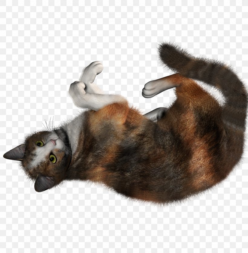 Tabby Cat Kitten Clip Art, PNG, 1490x1520px, Cat, Black Cat, Cat Like Mammal, Cat Play And Toys, Fauna Download Free