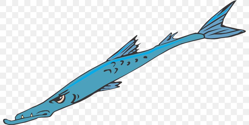 Clip Art Shark Fish Cetacea Image, PNG, 800x413px, Shark, Animal, Barracuda, Cetacea, Coloring Book Download Free