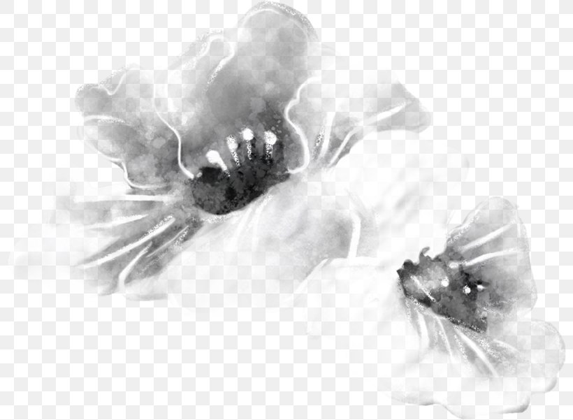 Petal Desktop Wallpaper Cut Flowers White Computer, PNG, 800x601px, Petal, Artwork, Black And White, Computer, Cut Flowers Download Free