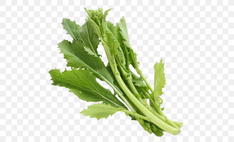 Broccoletto Coriander Food Vegetable Rapini, PNG, 500x500px, Broccoletto, Brassica Rapa, Broad Bean, Coriander, February Download Free