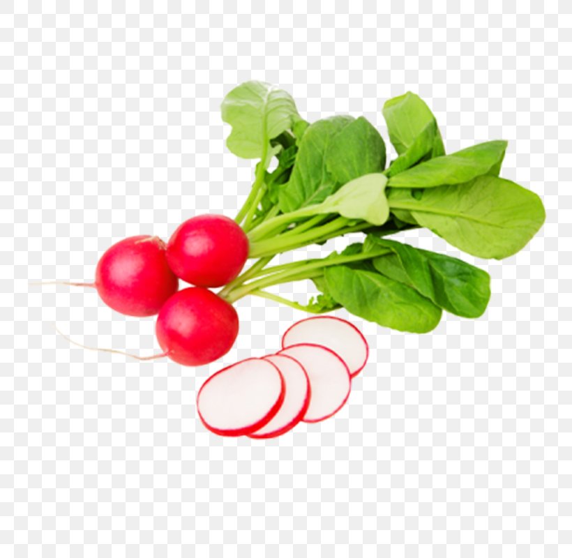 Daikon Garden Radish Food Vegetable Raphanus, PNG, 800x800px, Daikon, Beet, Beetroot, Black Spanish Radish, Cucumber Download Free