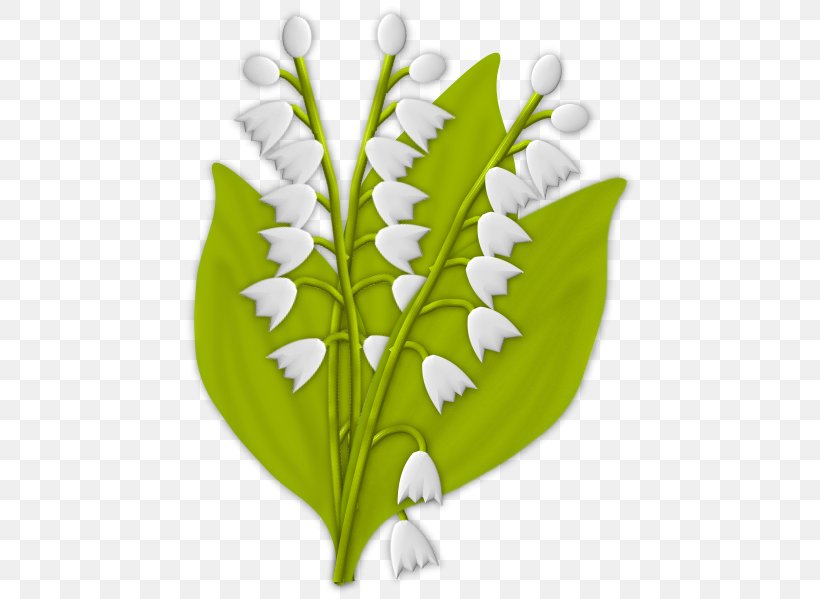 Lily Of The Valley Plant Stem La Boîte à Images Clip Art, PNG, 501x599px, Lily Of The Valley, Flower, Leaf, Plant, Plant Stem Download Free