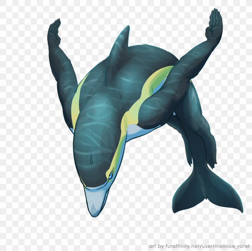 Short-beaked Common Dolphin Drawing Cetaceans, PNG, 900x899px, Dolphin, Art, Bottlenose Dolphin, Cetaceans, Drawing Download Free