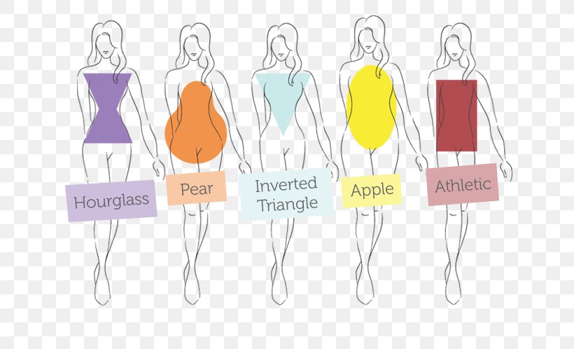 Calculator Female Body Shape Bust/waist/hip Measurements Calculation, PNG, 650x498px, Calculator, Adipose Tissue, Body Fat Percentage, Brand, Bustwaisthip Measurements Download Free