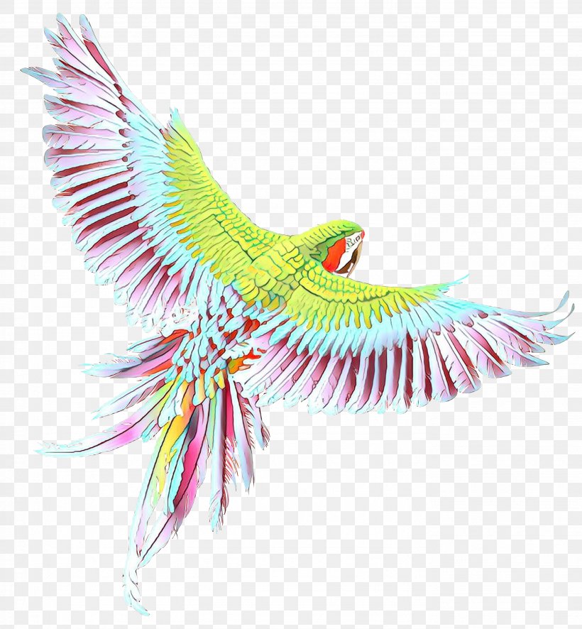 Macaw Parakeet Beak Feather Pet, PNG, 2774x3000px, Macaw, Beak, Bird, Feather, Organism Download Free