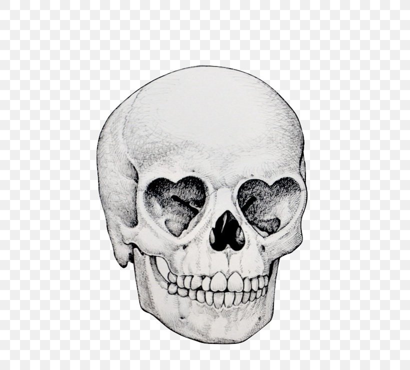 Skull Drawing Illustration Image Eye, PNG, 559x740px, Skull, Art, Bone, Calavera, Drawing Download Free