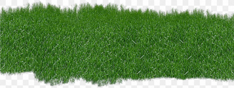 Grass Green Lawn Plant Grass Family, PNG, 1901x718px, Grass, Artificial Turf, Fodder, Grass Family, Grassland Download Free