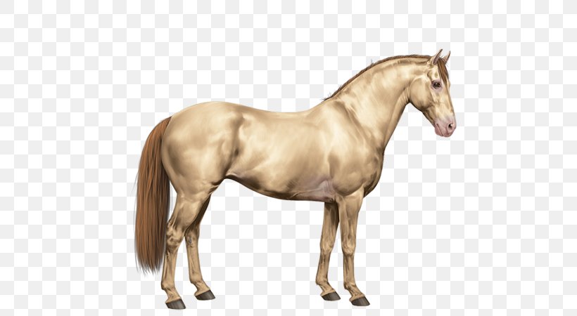 Mane Mustang American Paint Horse American Quarter Horse Stallion, PNG, 600x450px, Mane, American Paint Horse, American Quarter Horse, Animal Figure, Breed Download Free