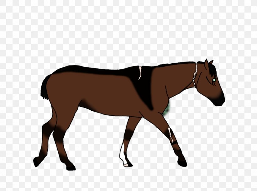 Mule Foal Stallion Bridle Pony, PNG, 900x669px, Mule, Bit, Bridle, Colt, Foal Download Free