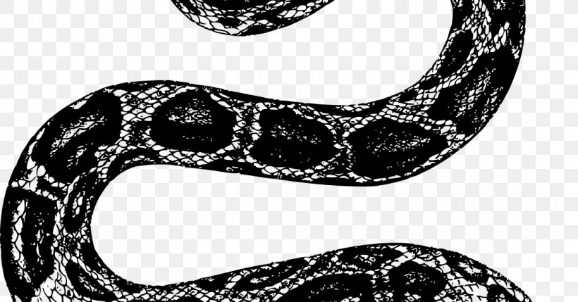 Snake Cartoon, PNG, 1114x584px, Snakes, Black Mamba, Black Rat Snake, Blackandwhite, Cobra Download Free