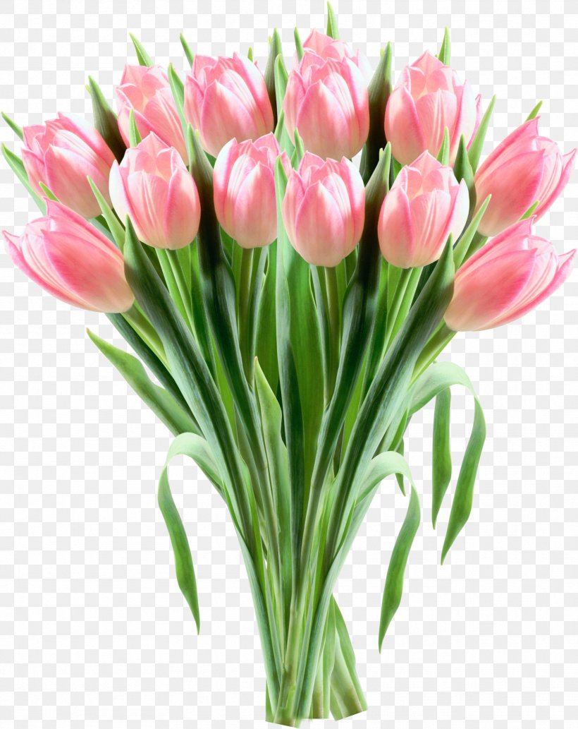 Tulip Pink Flowers Clip Art, PNG, 1769x2229px, Tulip, Color, Cut Flowers, Daffodil, Floral Design Download Free