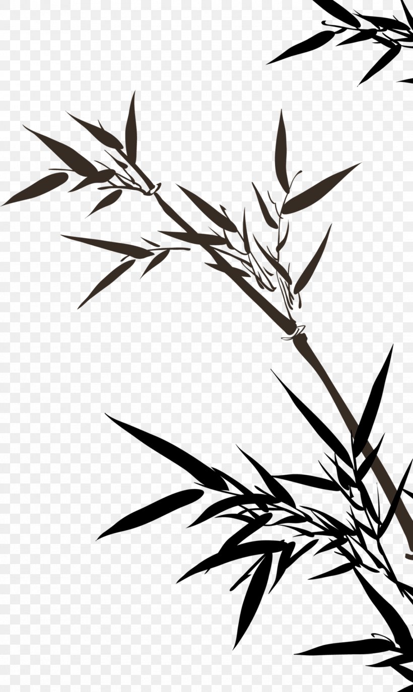 Bamboo Drawing Clip Art, PNG, 1550x2598px, Bamboo, Art, Bamboo Painting, Black And White, Branch Download Free
