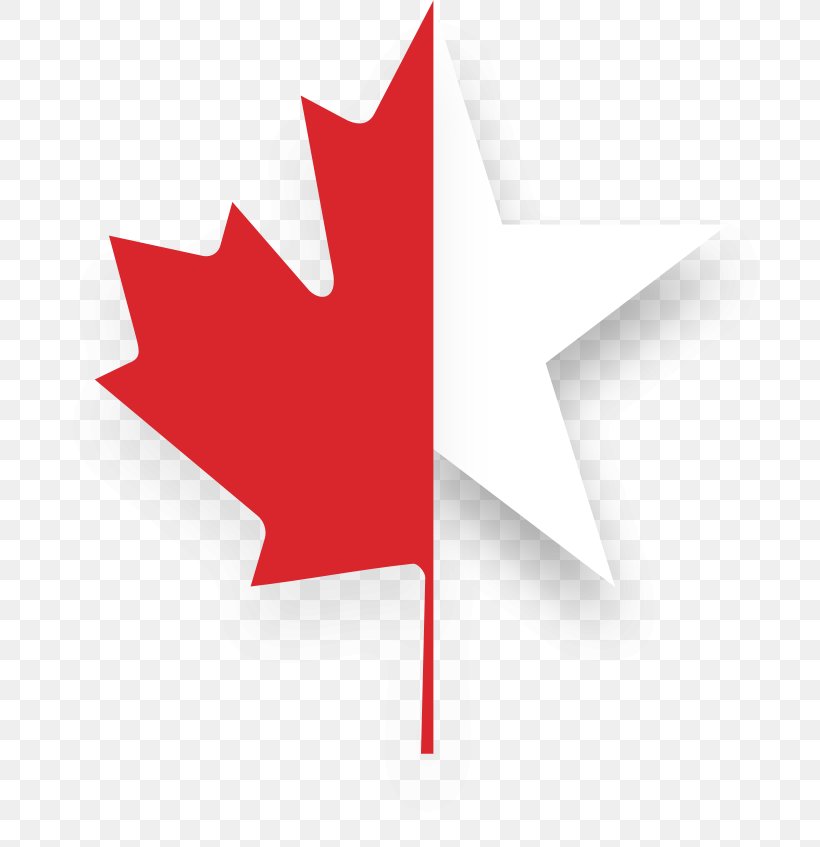 Flag Of Canada Maple Leaf T-shirt, PNG, 724x847px, Canada, Canadian Gold Maple Leaf, Carmine, Flag, Flag Of Canada Download Free