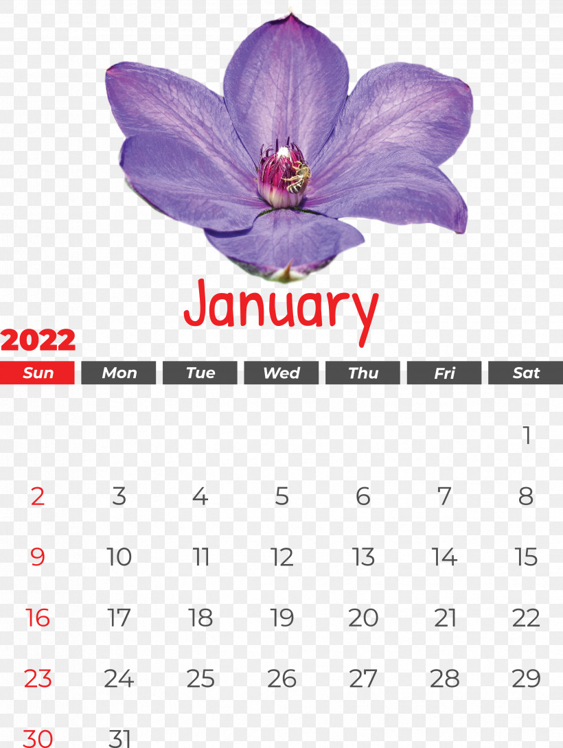 Calendar Violet 長坡村委会 長坡村委会 January, PNG, 3309x4399px, Calendar, January, Violet Download Free