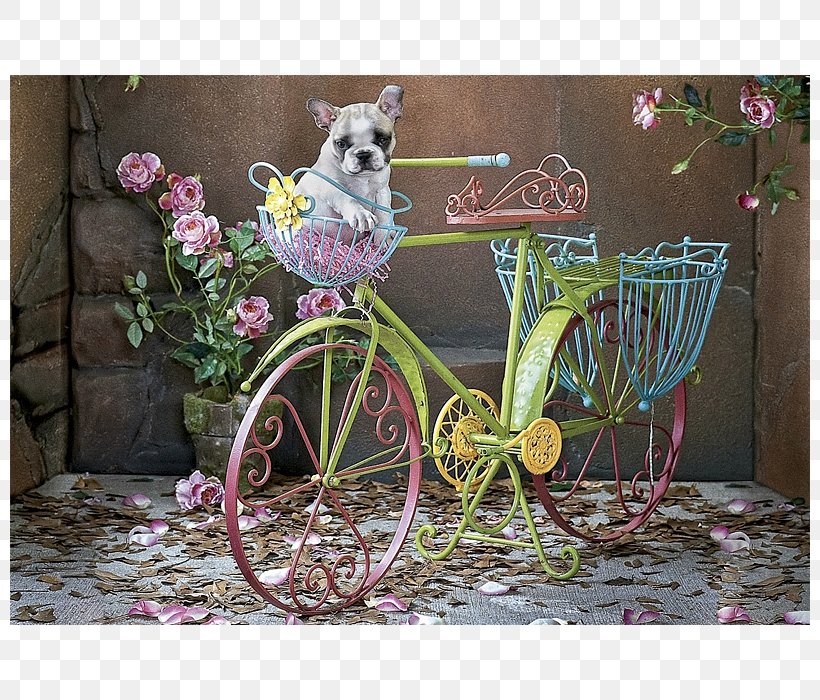 French Bulldog Jigsaw Puzzles Educa Borràs Game, PNG, 800x700px, French Bulldog, Bicycle Accessory, Bulldog, Dog, Flora Download Free