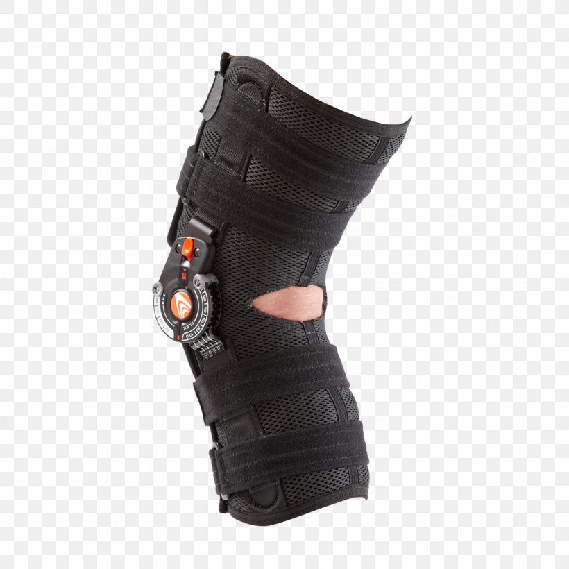 Knee Protective Gear In Sports Ligament Breg, Inc., PNG, 1024x1024px, Knee, Breg Inc, Joint, Ligament, Nature Download Free